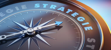 Conseil en gestion & développement